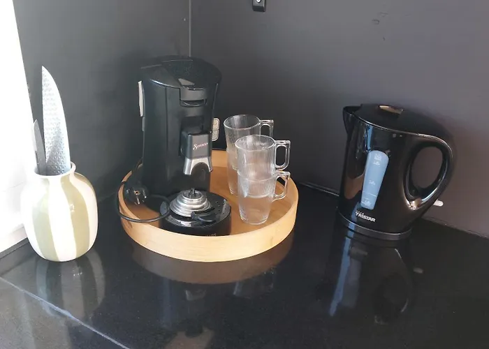 Vakantiewoning Loosdrechtse Plassen 別荘 ロースドレヒト